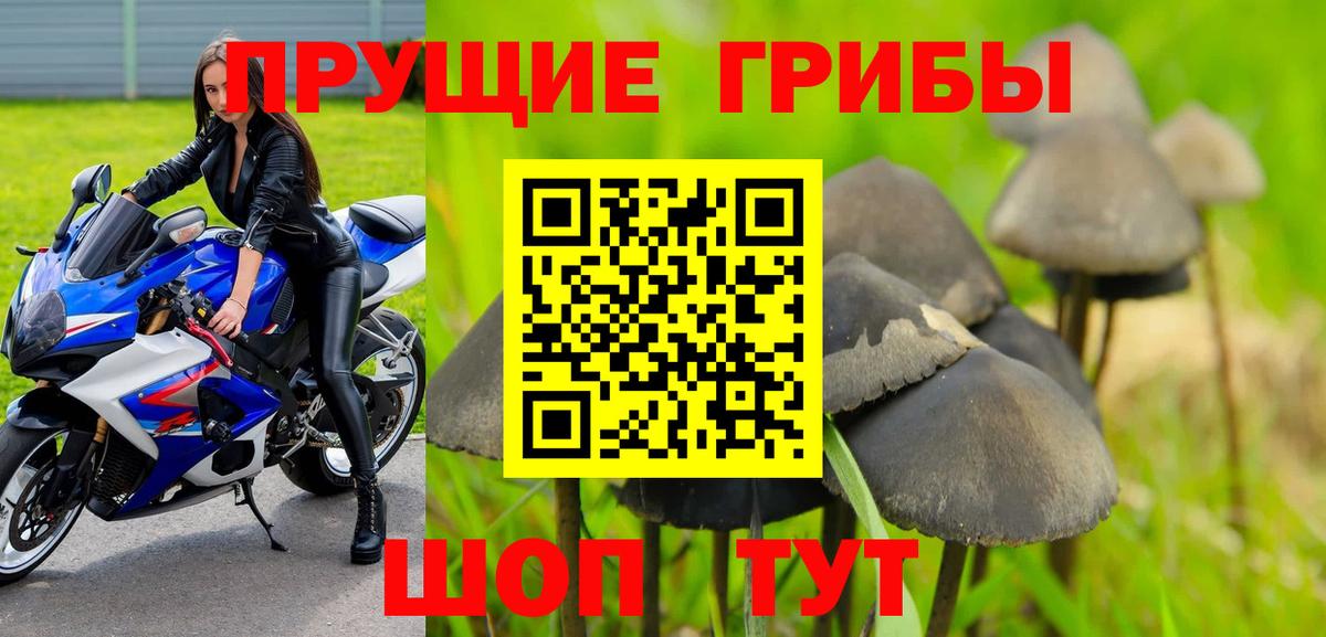 Донецк  Псилоцибиновые грибы мухоморы  Псилоцибиновые грибы GOLDEN TEACHER  Вход с VPN 