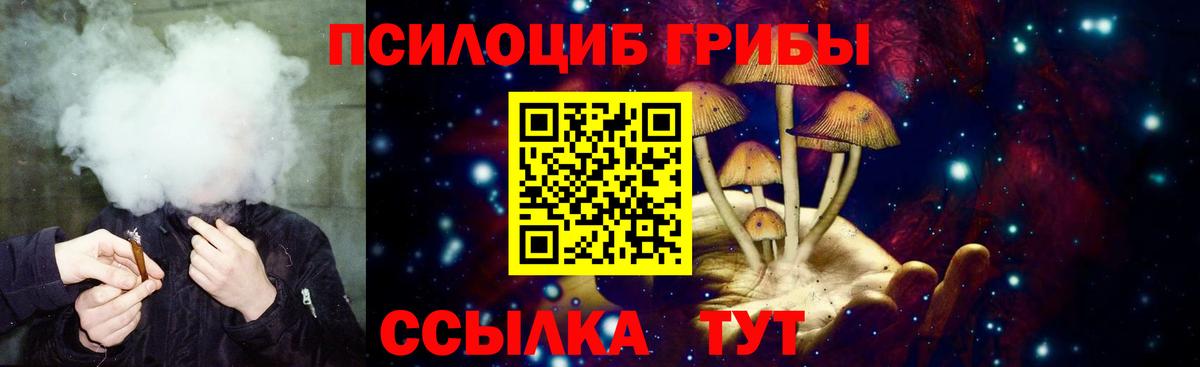 Галлюциногенные грибы мицелий Донецк